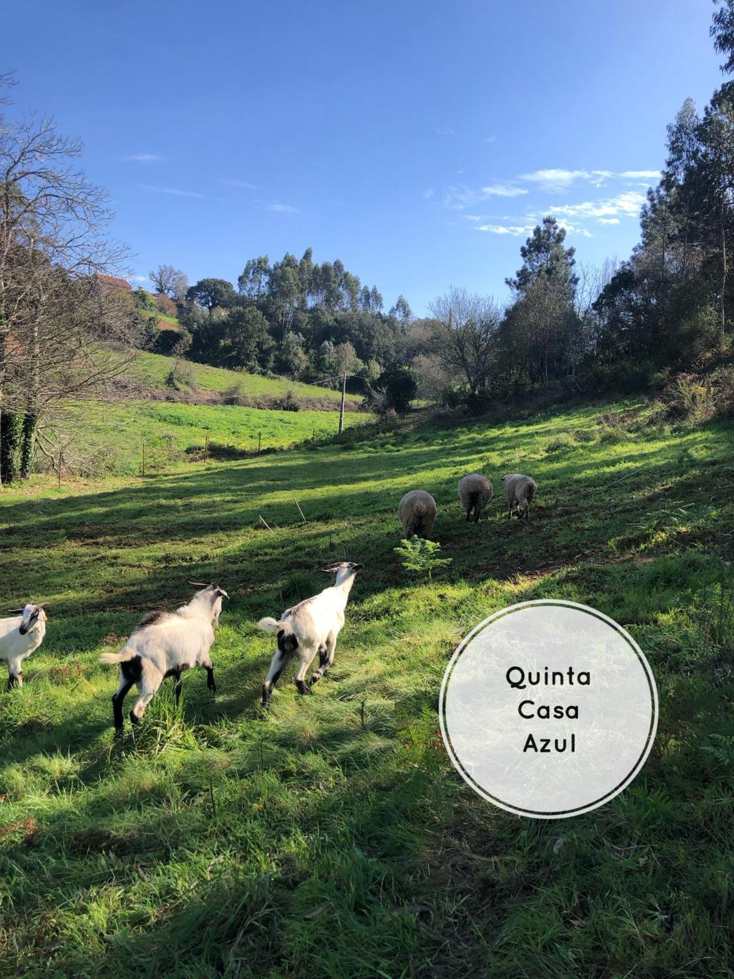 فيلا Quinta Da Casa Azul Óbidos المظهر الخارجي الصورة